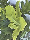 Green Oak Leaves